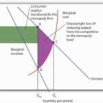 Reading: Monopolies and Deadweight Loss | Microeconomics